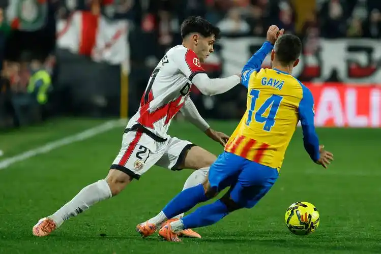 雨燕直播免费看